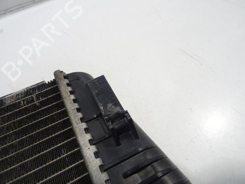 Water radiator RENAULT MEGANE II (BM0/1_, CM0/1_) 2.0 dCi (BM1K, CM1K) | BP31587182M31 