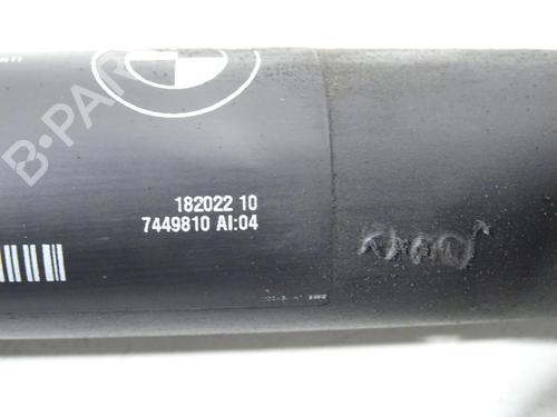 Tailgate lift support BMW X5 (F15, F85) xDrive 40 d | BP29422257C138 