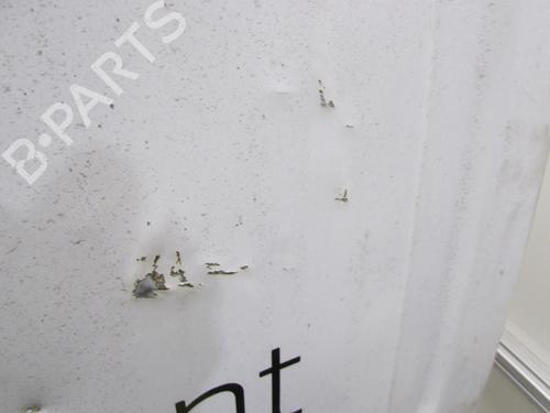 Left tailgate RENAULT KANGOO Express (FC0/1_) 1.9 dCi 4x4 (FC0V) | BP21973099C76 