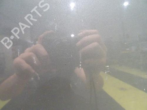 Left front door VW GOLF PLUS V (5M1, 521) 1.9 TDI | BP29340794C2