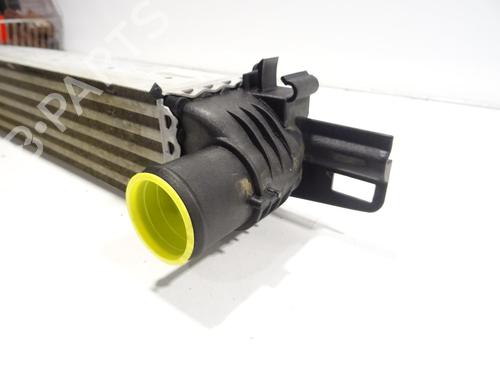 Intercooler CITROËN NEMO Box Body/MPV (AA_) 1.3 HDi 75 | BP28964381M30