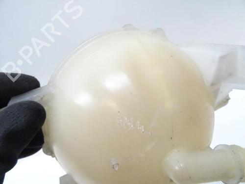 Expansion tank CITROËN C4 Grand Picasso I (UA_) 2.0 HDi 138 | BP20067411C120 