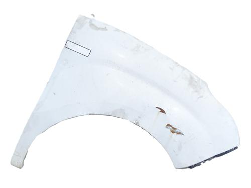 Guarda-lamas direito Guarda-lamas direito FIAT DOBLO Cargo (263_) 1.3 D Multijet (90 hp) 36012638 36012638