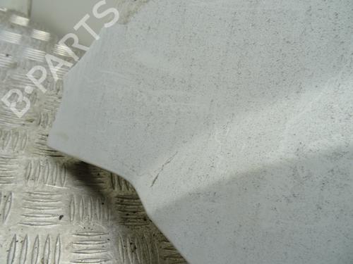 Left front fenders FIAT DOBLO MPV (119_, 223_) 1.3 D Multijet | BP28908412C41 