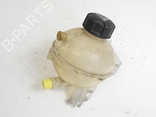 Expansion tank PEUGEOT 308 II (LB_, LP_, LW_, LH_, L3_) 1.6 HDi / BlueHDi 115 | BP20055244C120 