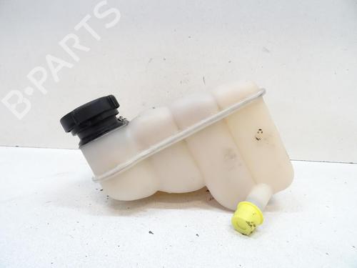 Used Expansion tank LAND ROVER DISCOVERY II (L318) 2.5 Td5 4x4 (139 hp) 20176865