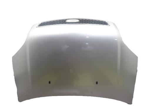 Used Hood FORD FUSION (JU_) 1.4 TDCi (68 hp) 30327492