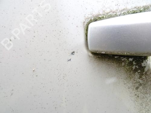 Left rear door SUBARU FORESTER (SH_) 2.0 D AWD (SHH, SHD, SHN) | BP29855425C4