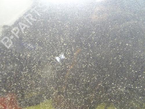 Left rear door HYUNDAI SANTA FÉ II (CM) 2.2 CRDi GLS 4x4 | BP29972398C4