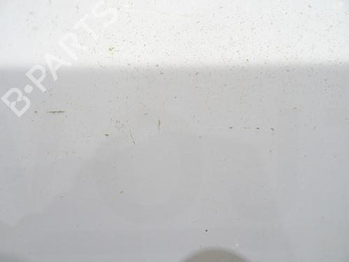 Right front door RENAULT MASTER II Van (FD) 2.5 dCi (FD02) | BP29071375C3 
