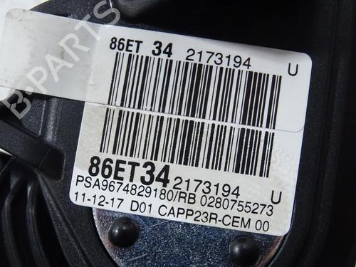 Pedale Pedale PEUGEOT 5008 II (MC_, MJ_, MR_, M4_) 1.5 BlueHDi 130 (MCYHZJ, MCYHZR, MCYHZX) (131 hp) 33738690 33738690