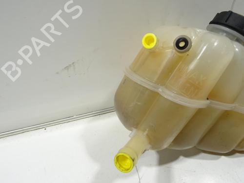 Ekpansionstank FORD S-MAX (CJ, WA6) 2.0 TDCi 4x4 | BP32302279C120