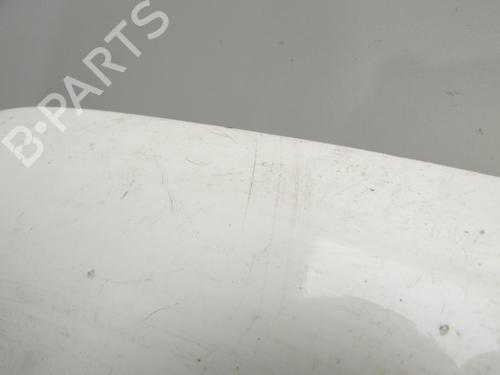 Left front fenders FORD TRANSIT CONNECT (P65_, P70_, P80_) 1.8 TDCi | BP20492802C41 