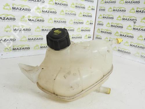 Used Expansion tank RENAULT KADJAR (HA_, HL_) 1.5 dCi 110 (HLA3) (110 hp) 20057230