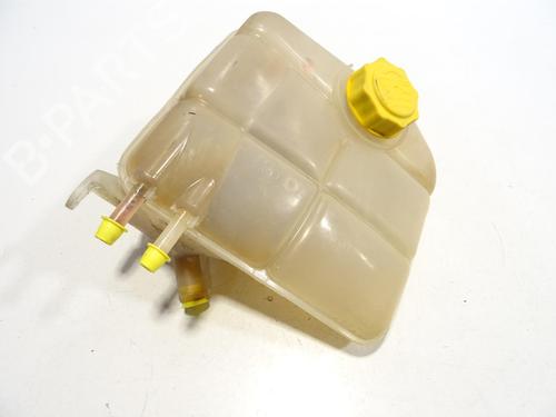 Used Expansion tank FORD TOURNEO CONNECT 1.8 TDCi (90 hp) 29405362