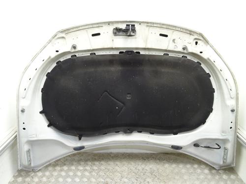 Hood VW TIGUAN (5N_) 2.0 TDI | BP29908763C1 