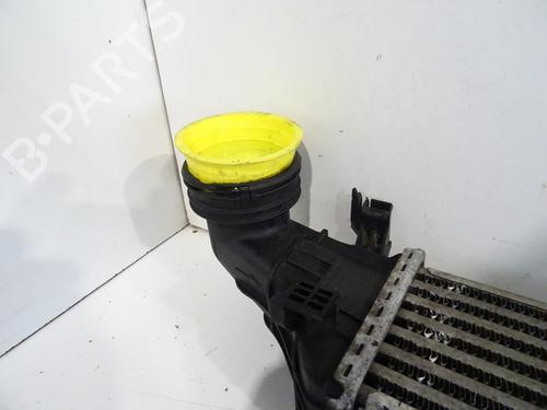 Intercooler MERCEDES-BENZ E-CLASS (W211) E 320 CDI (211.026) | BP33315546M30  - Image 5