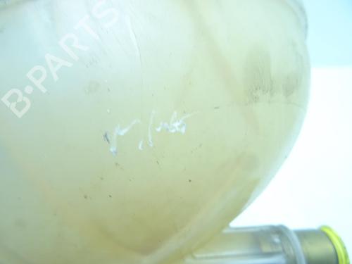 Expansion tank FIAT 500X (334_) 1.6 D Multijet (334AXA1B, 334AXA11) | BP29998262C120