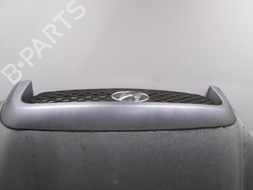 Hood HYUNDAI SANTA FÉ I (SM) 2.0 CRDi 4x4 | BP20050202C1 