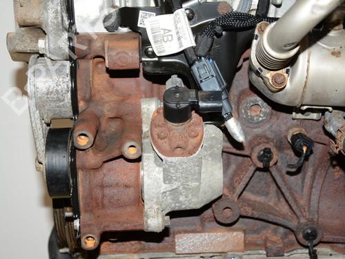 Engine FORD TRANSIT CUSTOM V362 Van (FY, FZ) 2.0 EcoBlue | BP37725274M1  - Image 7