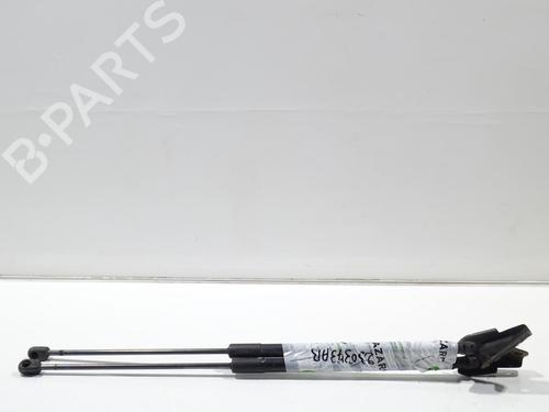 Used Tailgate lift support FORD FOCUS III 1.0 EcoBoost (125 hp) 22200047