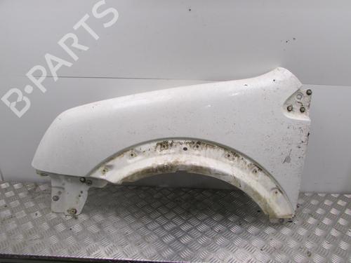 Used Left front fenders FORD TRANSIT CONNECT (P65_, P70_, P80_) 1.8 TDCi (90 hp) 20492802