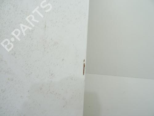 Left tailgate FIAT FIORINO Box Body/MPV (225_) 1.3 D Multijet (225BXD1A, 225BXB1A, 225BXB11) | BP28477176C76