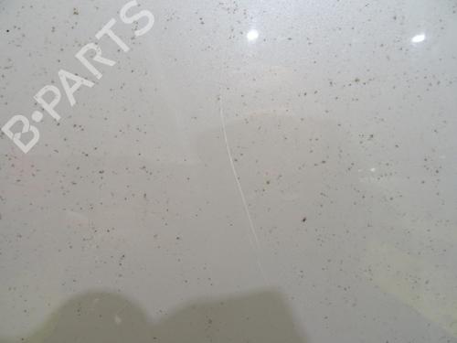 Left front door SUBARU FORESTER (SH_) 2.0 D AWD (SHH, SHD, SHN) | BP29855426C2