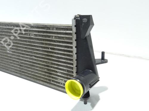 Used Intercooler Intercooler LAND ROVER DEFENDER Station Wagon (L316, L315) 2.5 Td5 4x4 (L316) (122 hp) 24420564 24420564