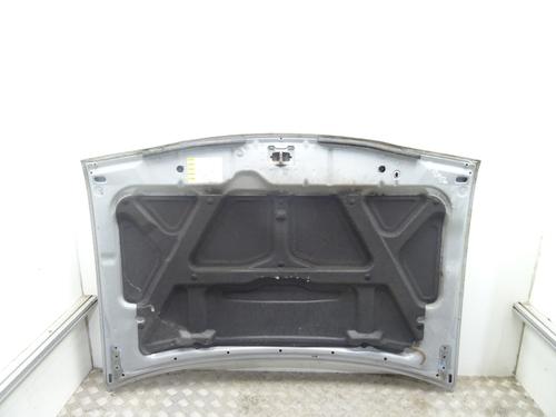 Hood SUZUKI GRAND VITARA I (FT, HT) 2.7 4x4 (JA627, SQ627W2) | BP29998189C1