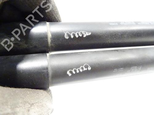 Gassdemper Bakluke RENAULT CLIO III (BR0/1, CR0/1) 1.5 dCi (BR17, CR17) | BP27303823C138 