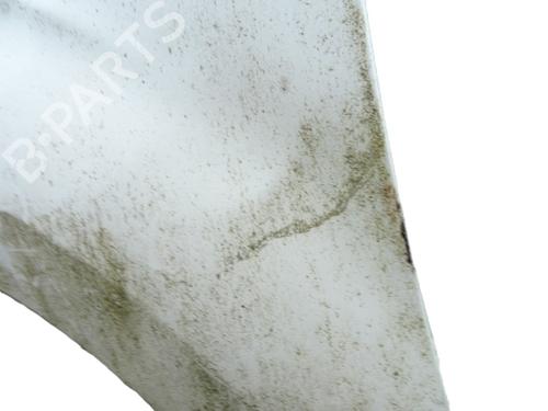 Left front fenders SUBARU FORESTER (SH_) 2.0 D AWD (SHH, SHD, SHN) | BP29838990C41 