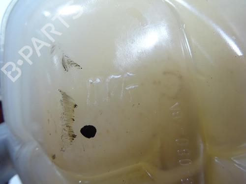 Ekpansionstank FORD S-MAX (CJ, WA6) 2.0 TDCi 4x4 | BP32302279C120