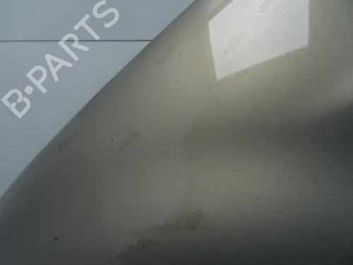 Left front fenders FIAT SEDICI (189_) 1.9 D Multijet 4x4 | BP28813649C41 