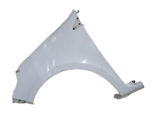 Used Left front fenders RENAULT CLIO III (BR0/1, CR0/1) 1.5 dCi (BR17, CR17) (86 hp) 32171653