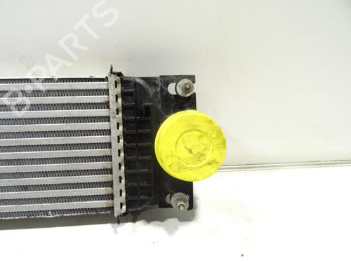 Used Intercooler Intercooler FORD S-MAX (CJ, WA6) 2.0 TDCi 4x4 (150 hp) 32299184 32299184