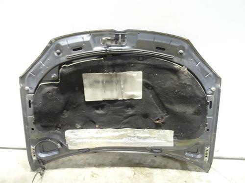 Hood VW GOLF V (1K1) 1.9 TDI | BP29124345C1 