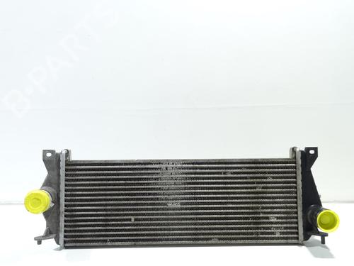 Used Intercooler LAND ROVER DEFENDER Station Wagon (L316) 2.5 Td5 4x4 (L316) (122 hp) 24420564