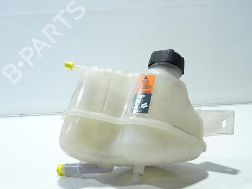 Expansion tank NISSAN QASHQAI II (J11, J11_) 1.5 dCi | BP30176637C120 