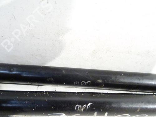 tailgate-lift-support-fiat-panda-169_-2003-31976572 main image