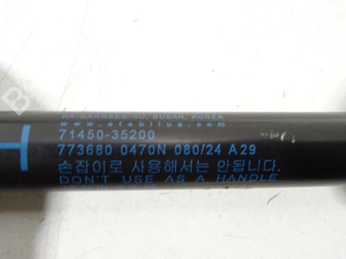 tailgate-lift-support-ssangyong-tivoli-2015-29204234 main image