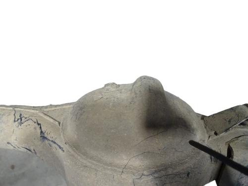 Front differential LAND ROVER DISCOVERY II (L318) 2.5 Td5 4x4 | BP31610825M23