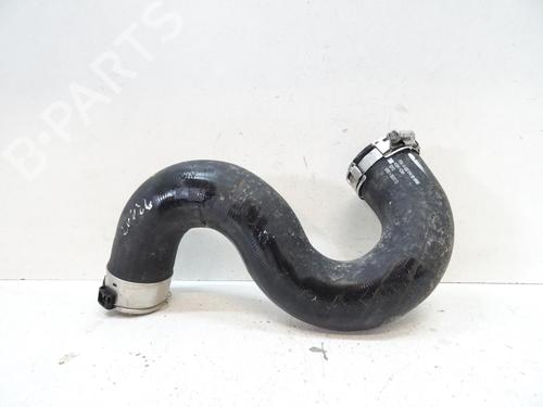 Used Pipe PEUGEOT EXPERT Tepee (VF3X_) 2.0 HDi 100 (98 hp) 20053886