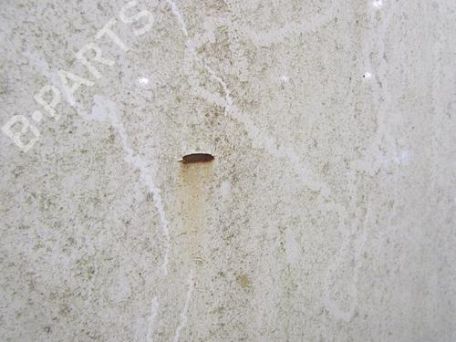 Used Right tailgate Right tailgate FORD TRANSIT CONNECT (P65_, P70_, P80_) 1.8 TDCi (90 hp) 20037508 20037508