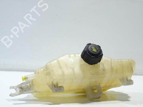 Used Expansion tank RENAULT CLIO III (BR0/1, CR0/1) 1.5 dCi (BR17, CR17) (86 hp) 22768189