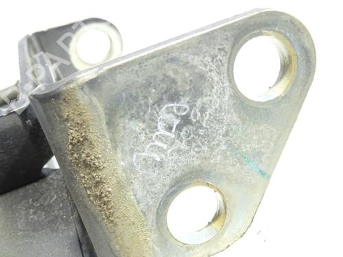 Hinge/Door check strap FORD ECOSPORT  | BP25145499C146