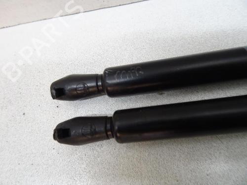 Tailgate lift support NISSAN X-TRAIL I (T30) 2.2 Di 4x4 | BP20067395C138 