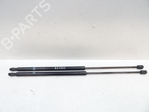 Used Tailgate lift support NISSAN X-TRAIL I (T30) 2.2 Di 4x4 (114 hp) 20067395