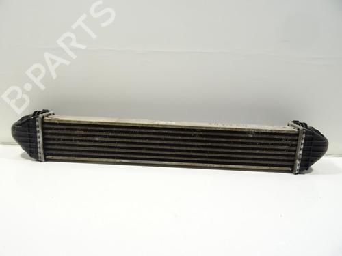 Used Intercooler Intercooler MERCEDES-BENZ B-CLASS Sports Tourer (W245) B 200 CDI (245.208) (140 hp) 29020591 29020591