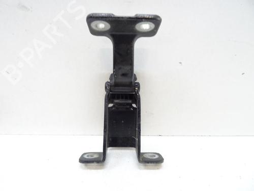 Hinge/Door check strap RENAULT KANGOO Express (FW0/1_) 1.5 dCi 85 (FW0K, FW0L, FW0B) | BP20042992C146 